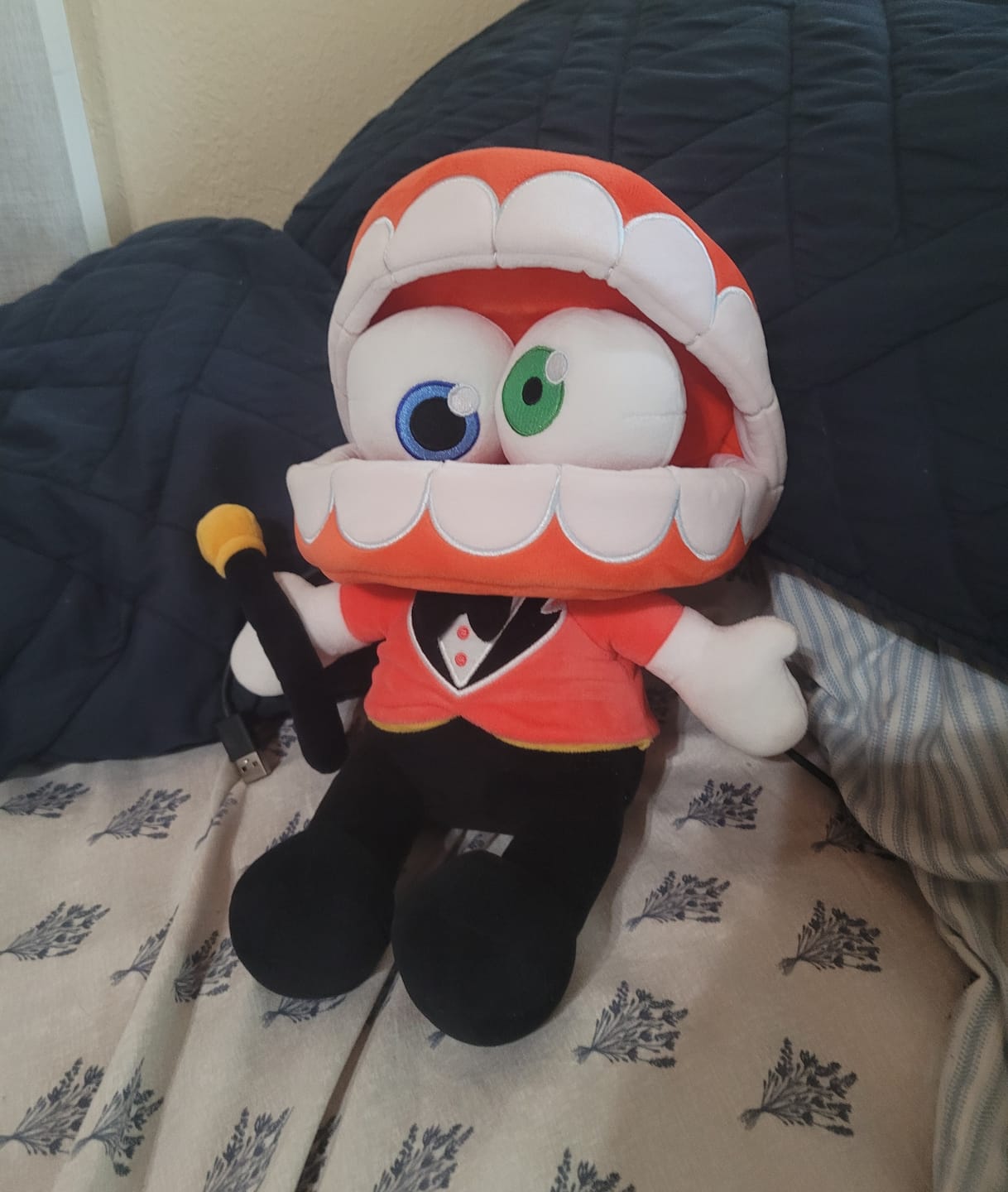 Customer photo review of Caine Plush