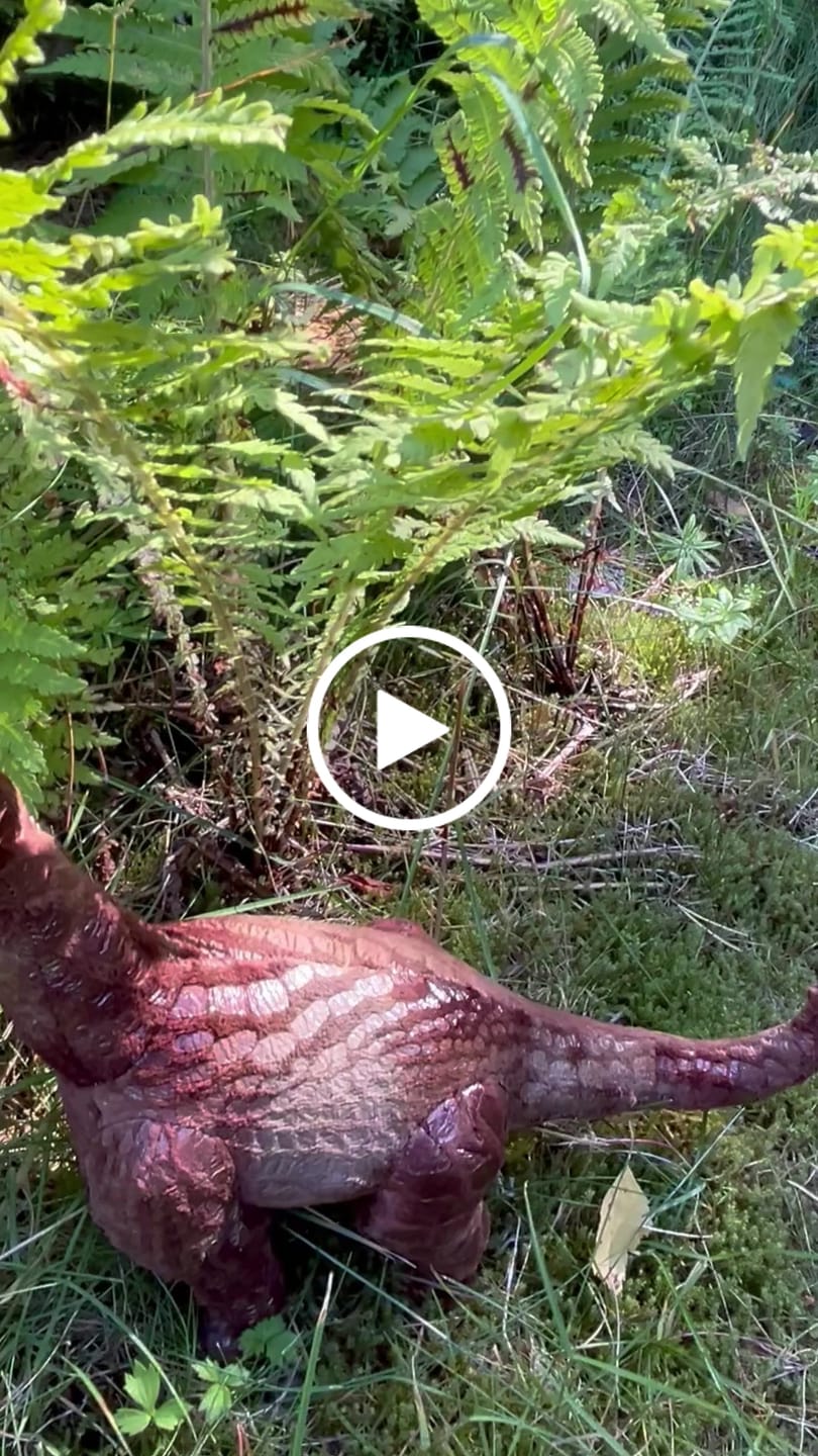 Customer video review of Brachiosaurus Bamse | Living Nature