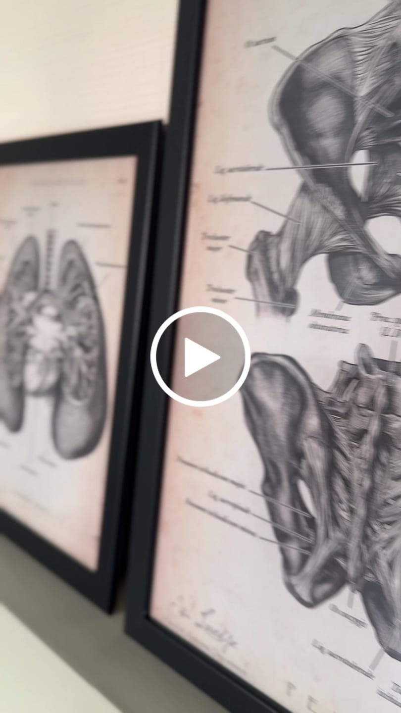 Customer video review of Schädelbasis Anatomie