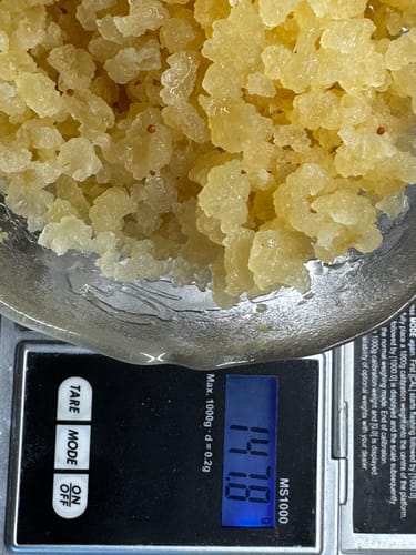 Customer's Wasserkefir Starter-Set Biokristalle in einer Glasschale auf einer digitalen Waage