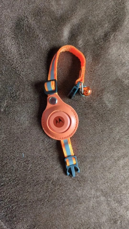 Customer photo review of WagWells AirTag Collar