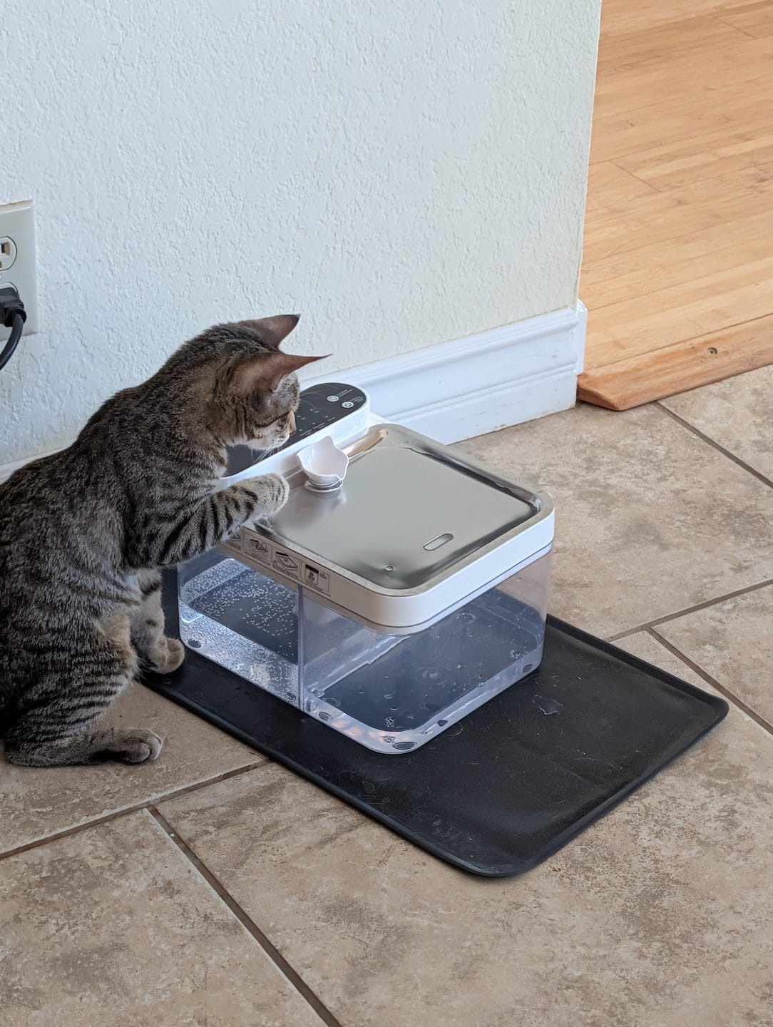 Customer photo review of The Hydrated Cat Method