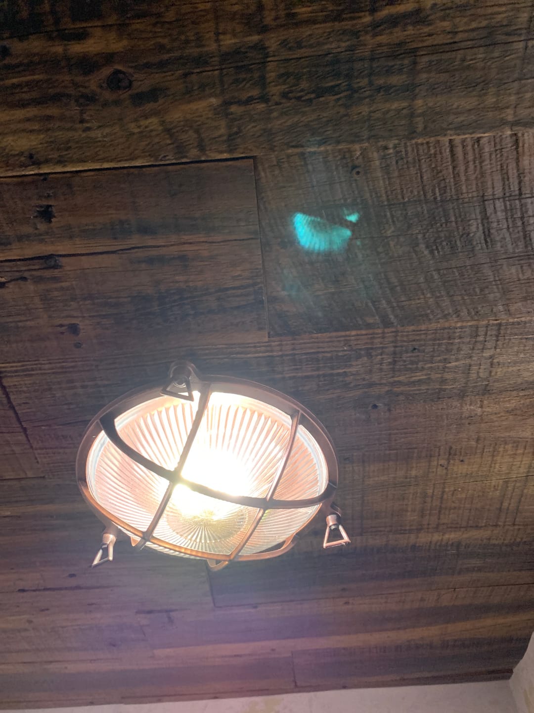 Customer photo review of PATIN GRANDE Nautical Ceiling Fixture