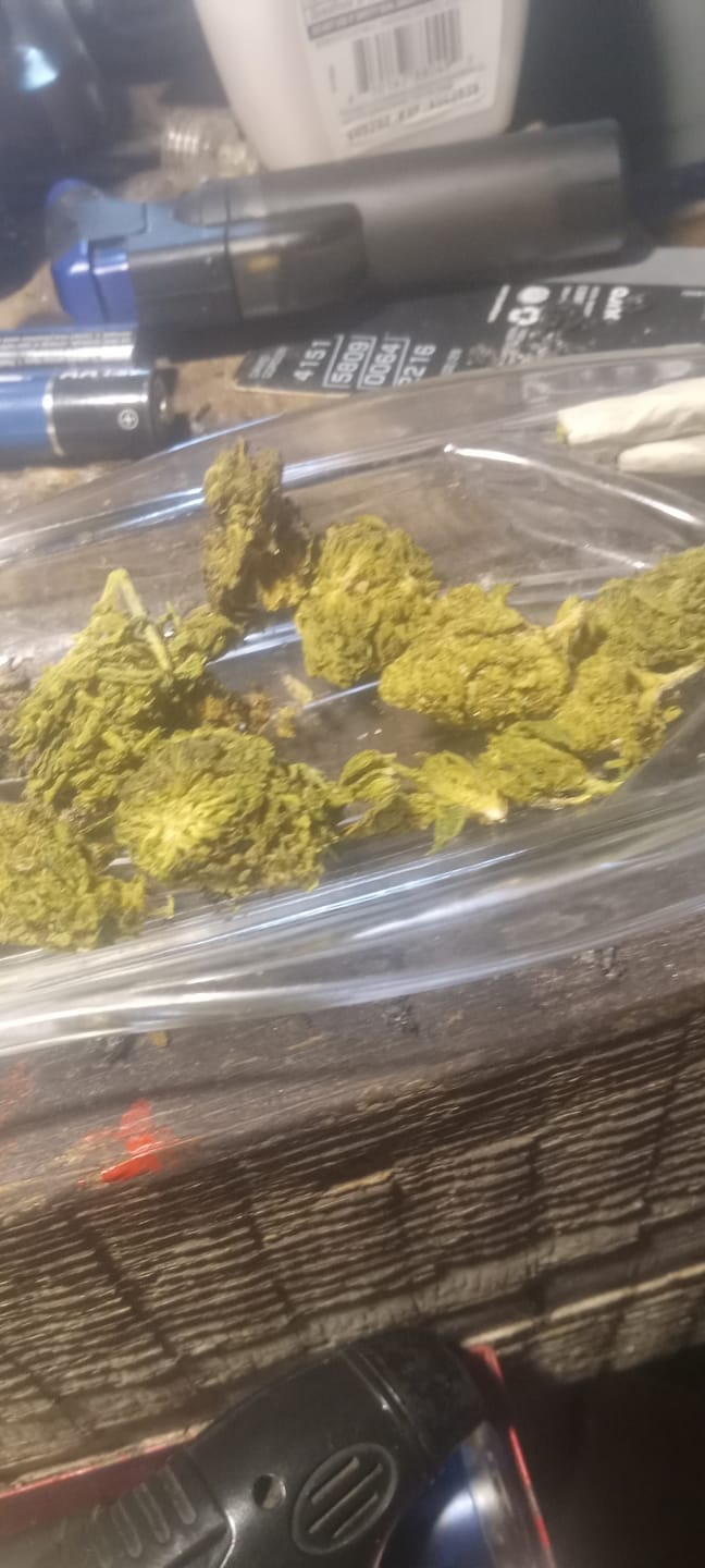 Customer photo review of Night Shade - Bulk - Indica
