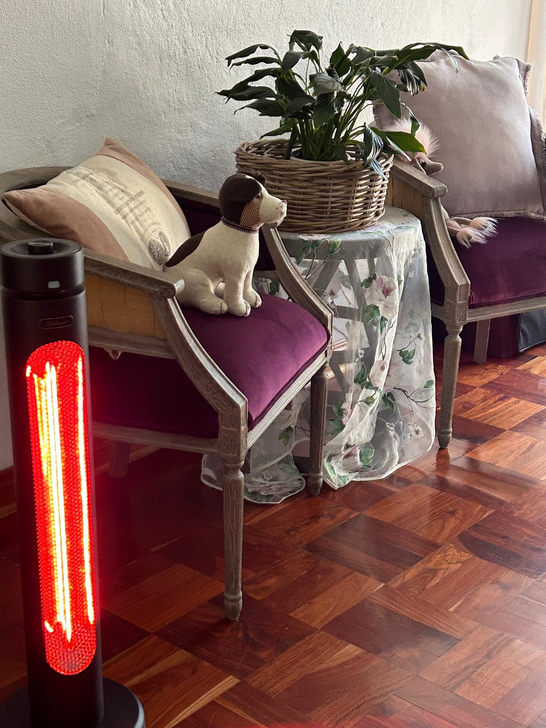 Customer photo review of Indoor & Outdoor Infrared Heater