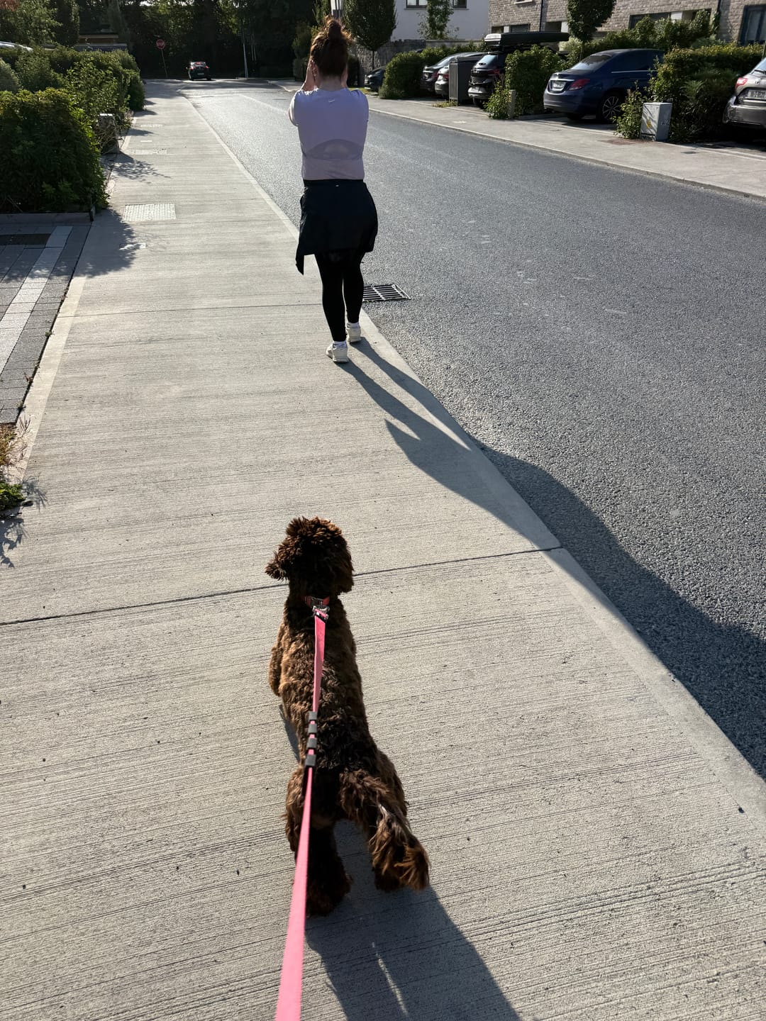 Customer photo review of City Leash Traffic Grip