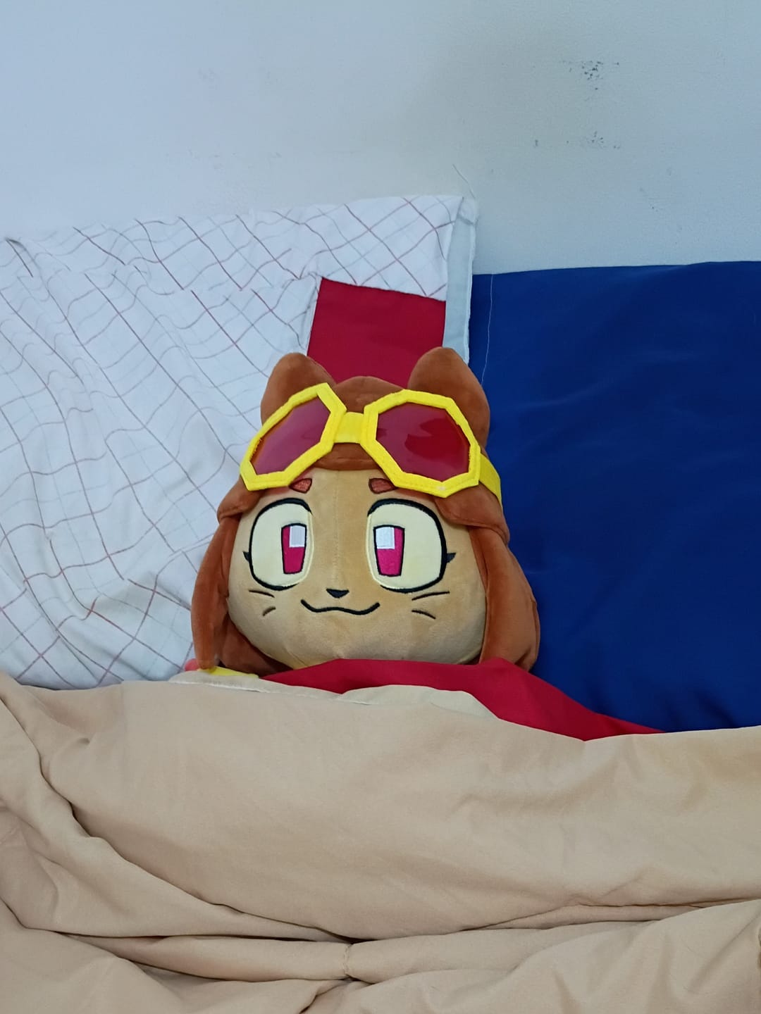 Customer photo review of Kit Plush