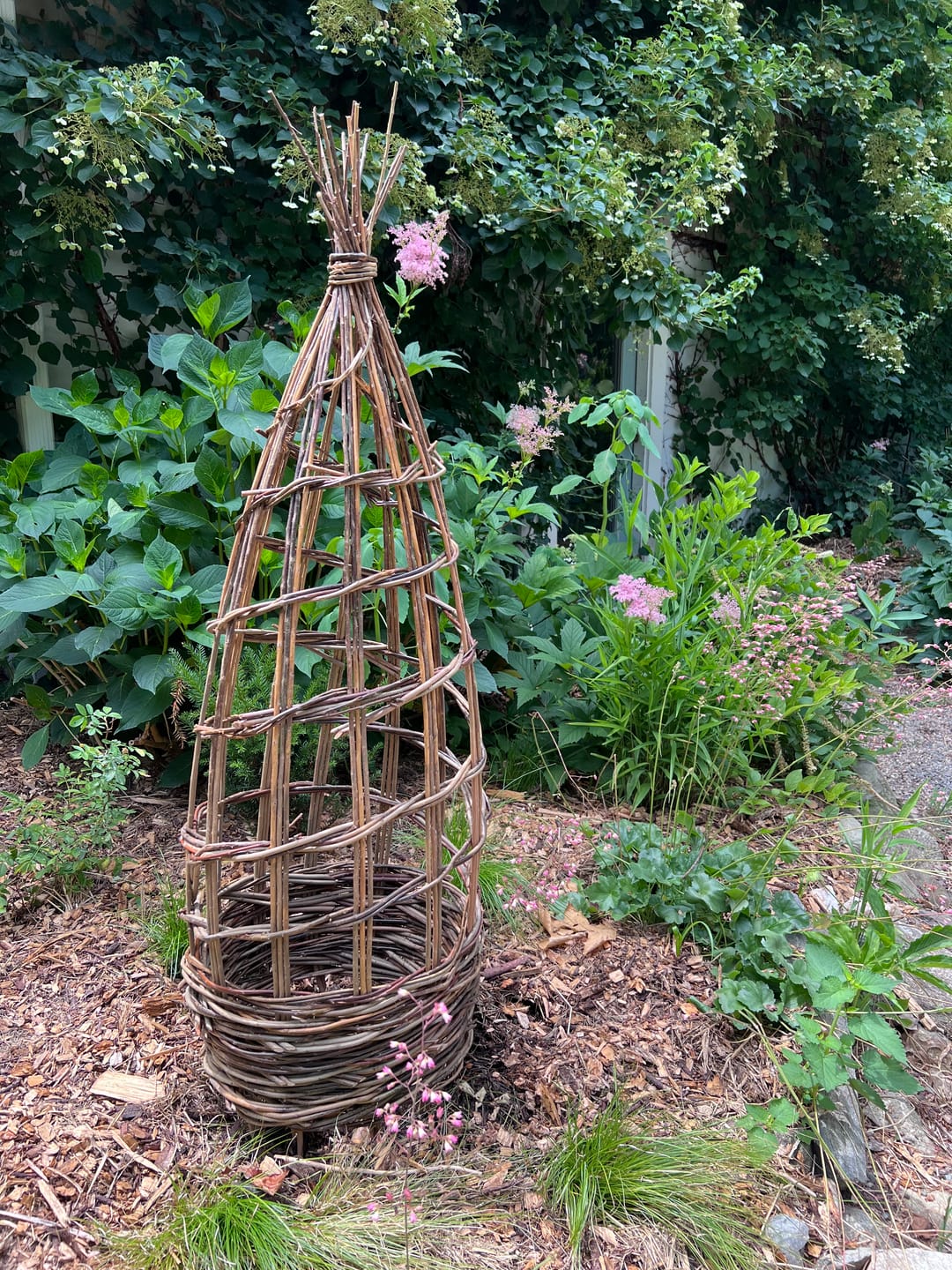 Customer photo review of The Willow Plant Support (3.8 Feet Tall)