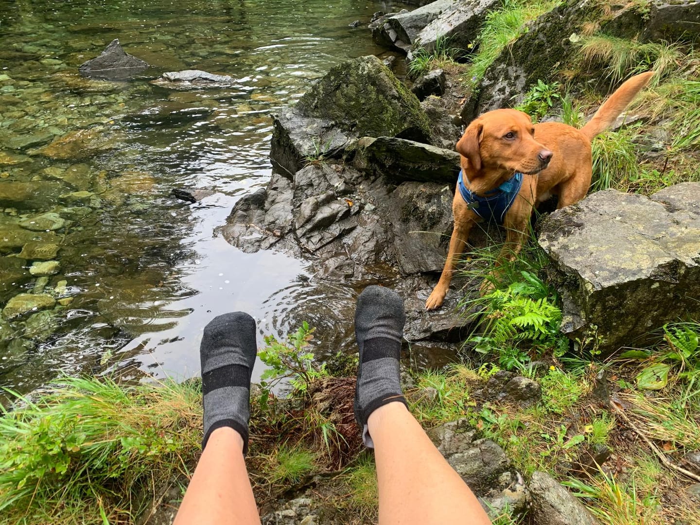 Customer photo review of Baresocks 2.0