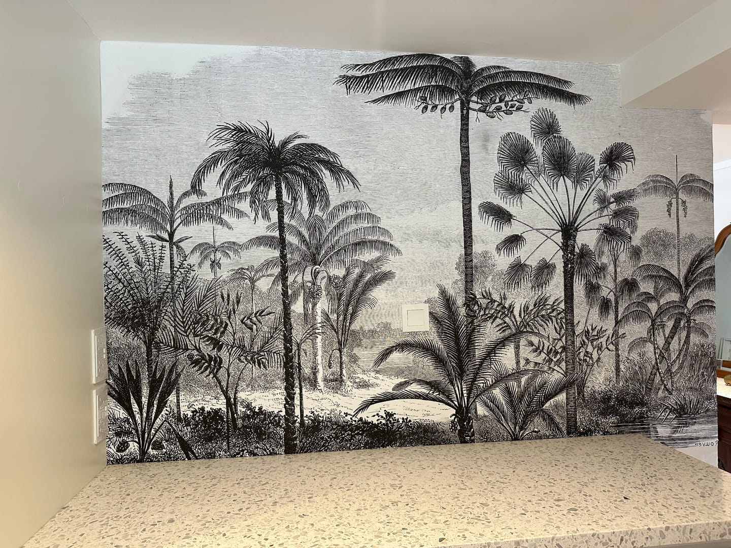 Customer photo review of Arthur - Vintage Tropical Etching Wallpaper Mural