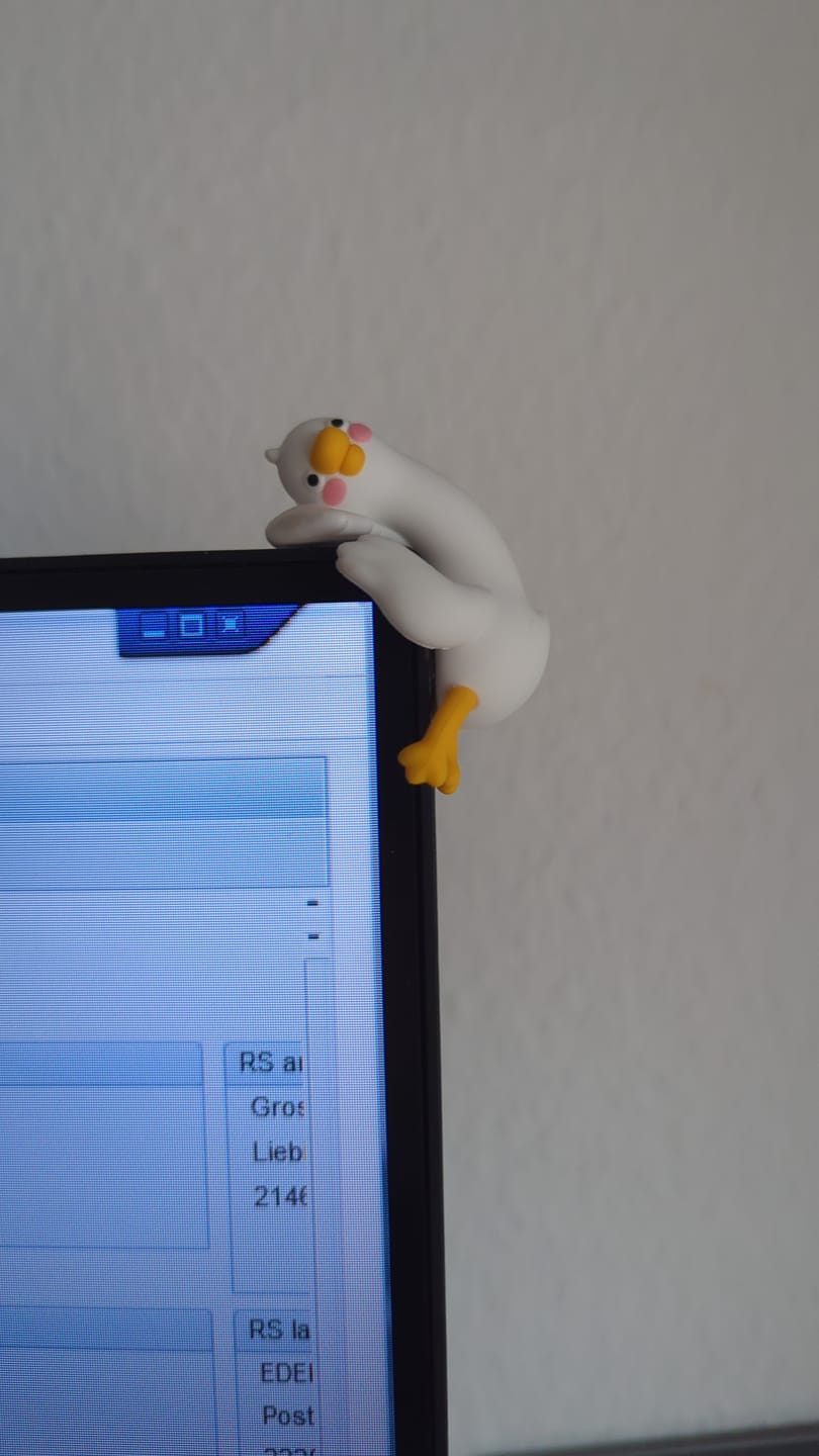 Customer photo review of Lazy Duck Desk Figurines