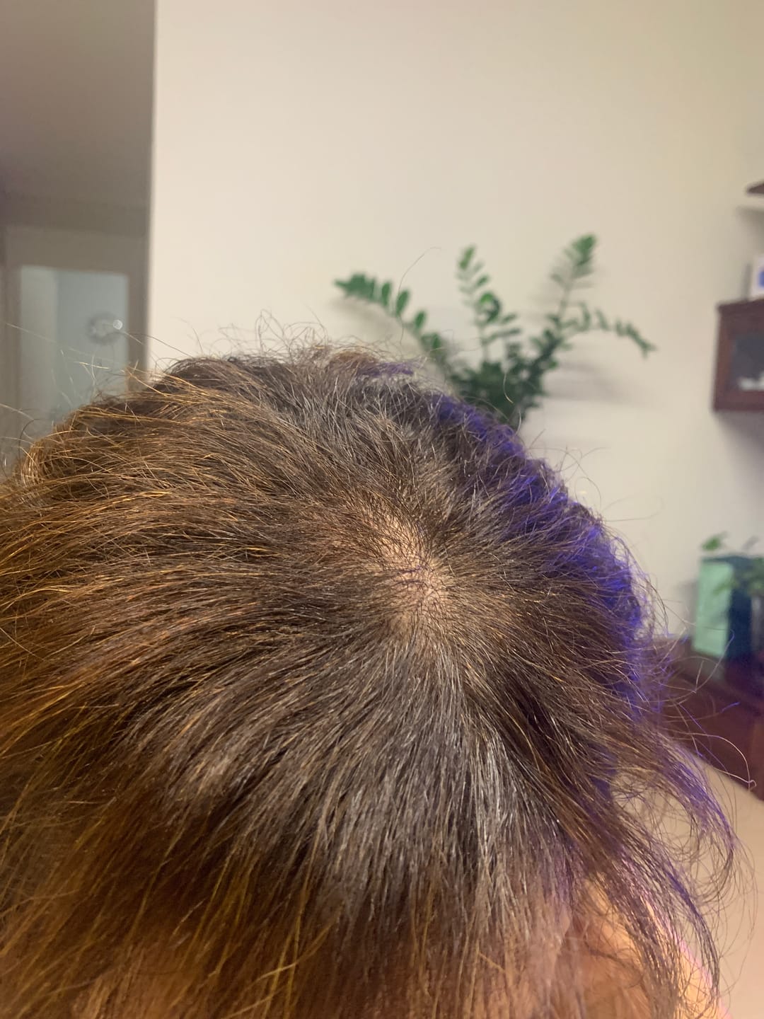 Customer photo review of Lamisè - Laminazione istantanea