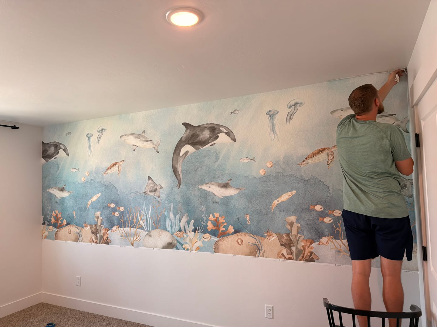 Customer photo review of Underwater Fun - Watercolour Underwater Animals and Fish Children's Wallpaper Mural