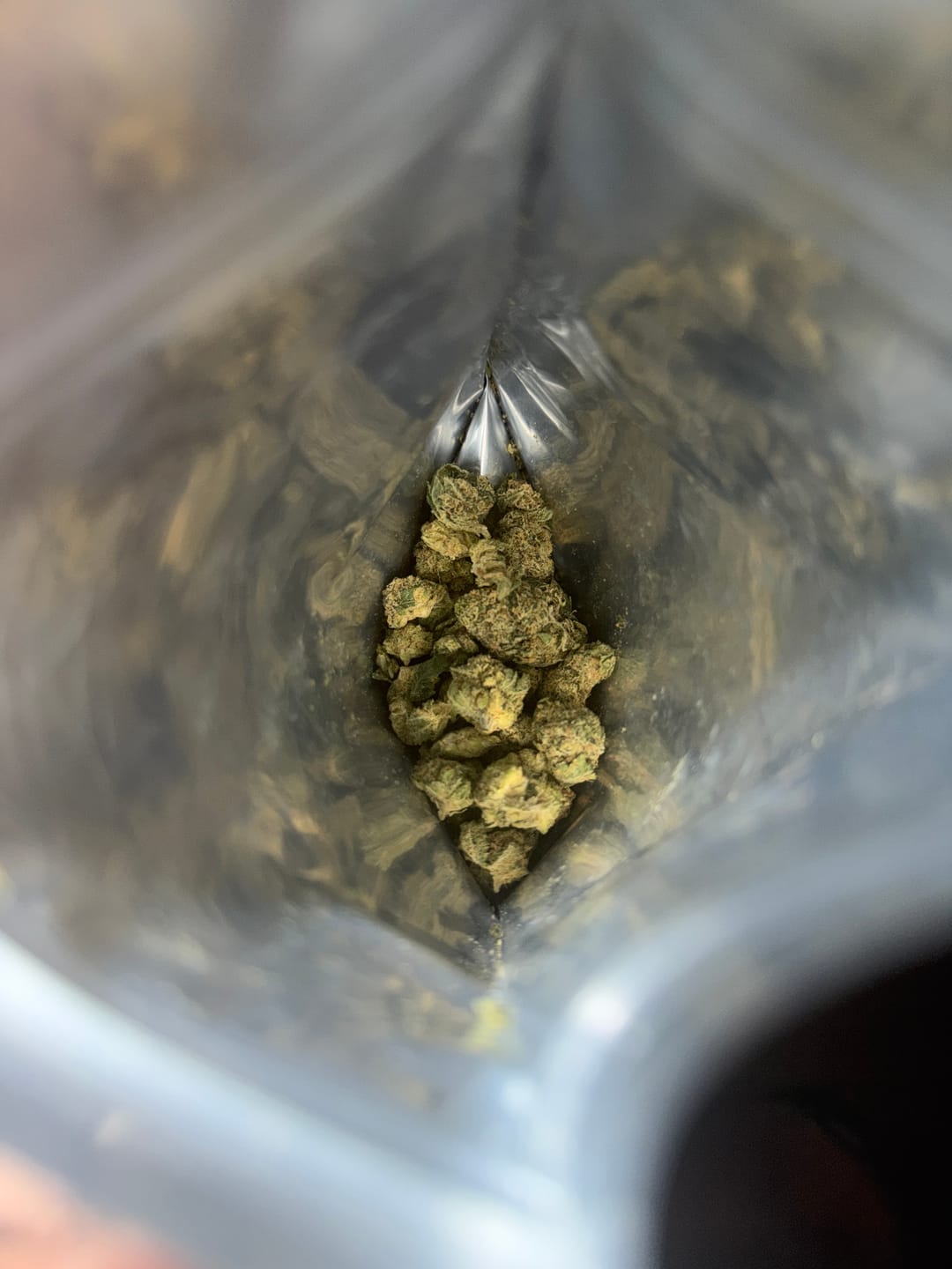 Customer photo review of Biscotti THCA Flower (Budget)