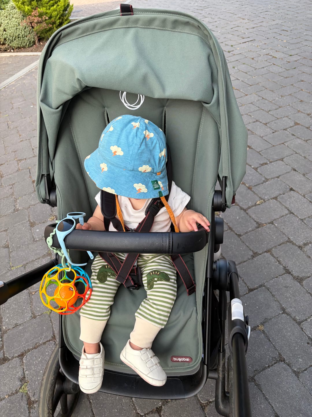 Customer photo review of Lizard Legs Patch Joggers