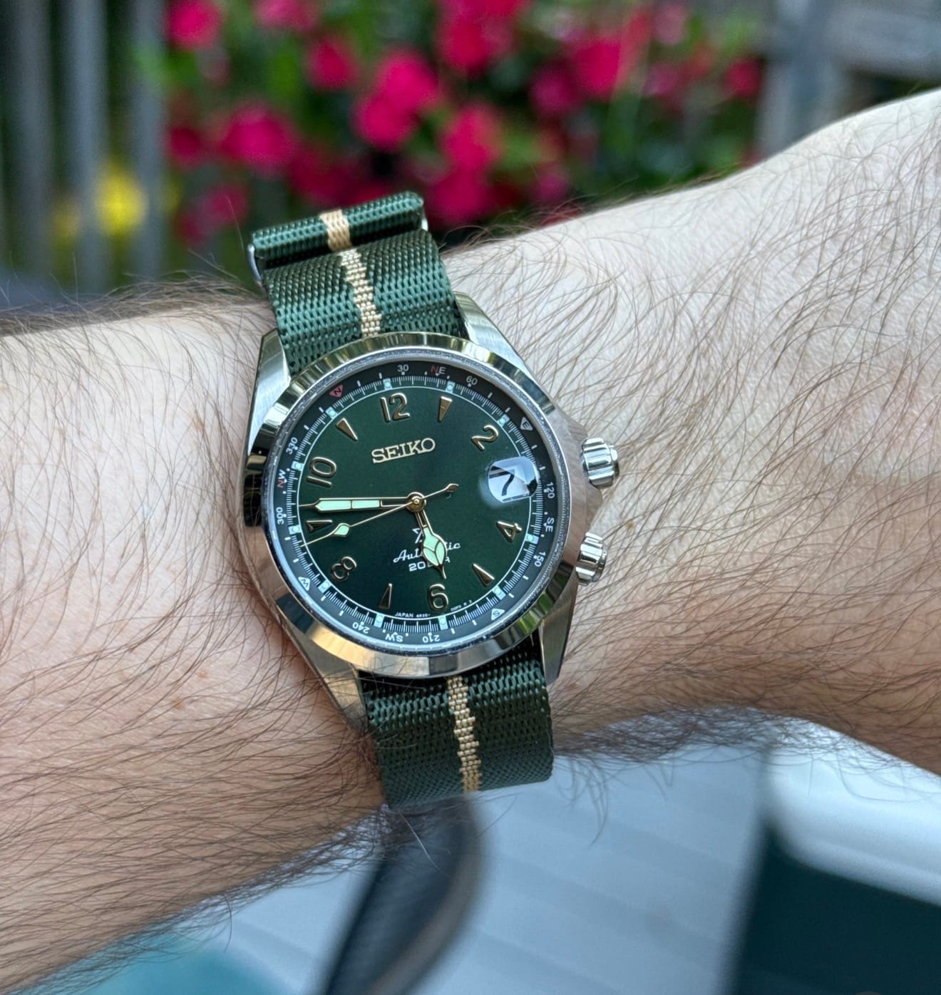 Customer photo review of AlphaShark - Emerald Boa