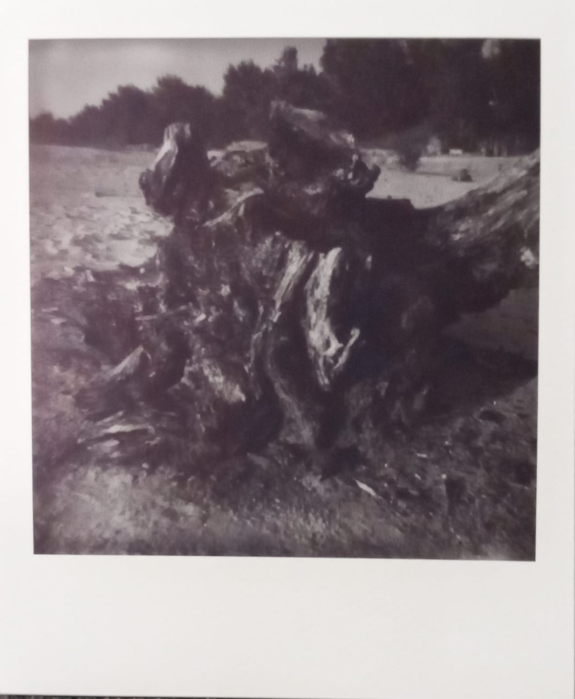 Customer photo review of Polaroid SX-70 Plastic Camera Repair