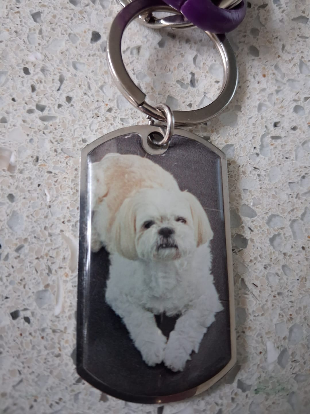 Customer photo review of Personalized Pet Keychain