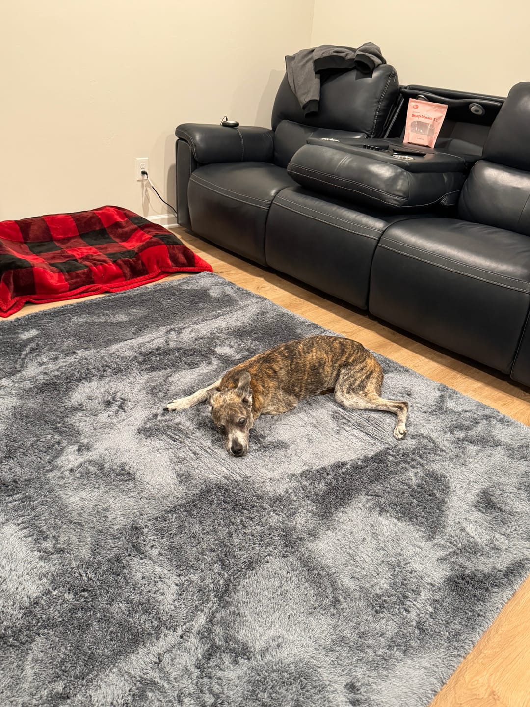 Customer photo review of Shaggy Relax Mat - 1.4" Thick Foam Base