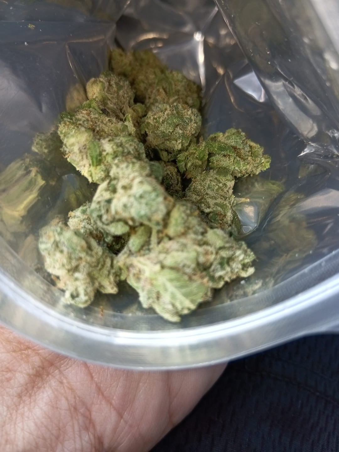 Customer photo review of Georgia Pie THCA Flower (Budget)