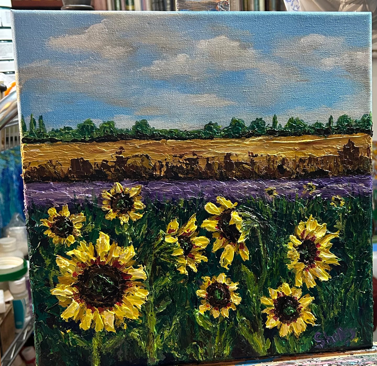Customer photo review of DabblePaints™️ Lemon Yellow — Thick-Body Acrylic Paint