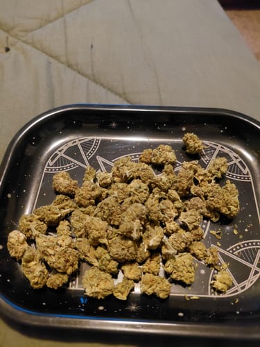 Customer's small green hemp buds arranged on a patterned black rolling tray.