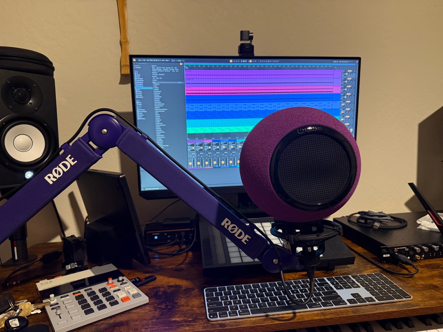Customer photo review of Eyeball | Pleasantly Purple