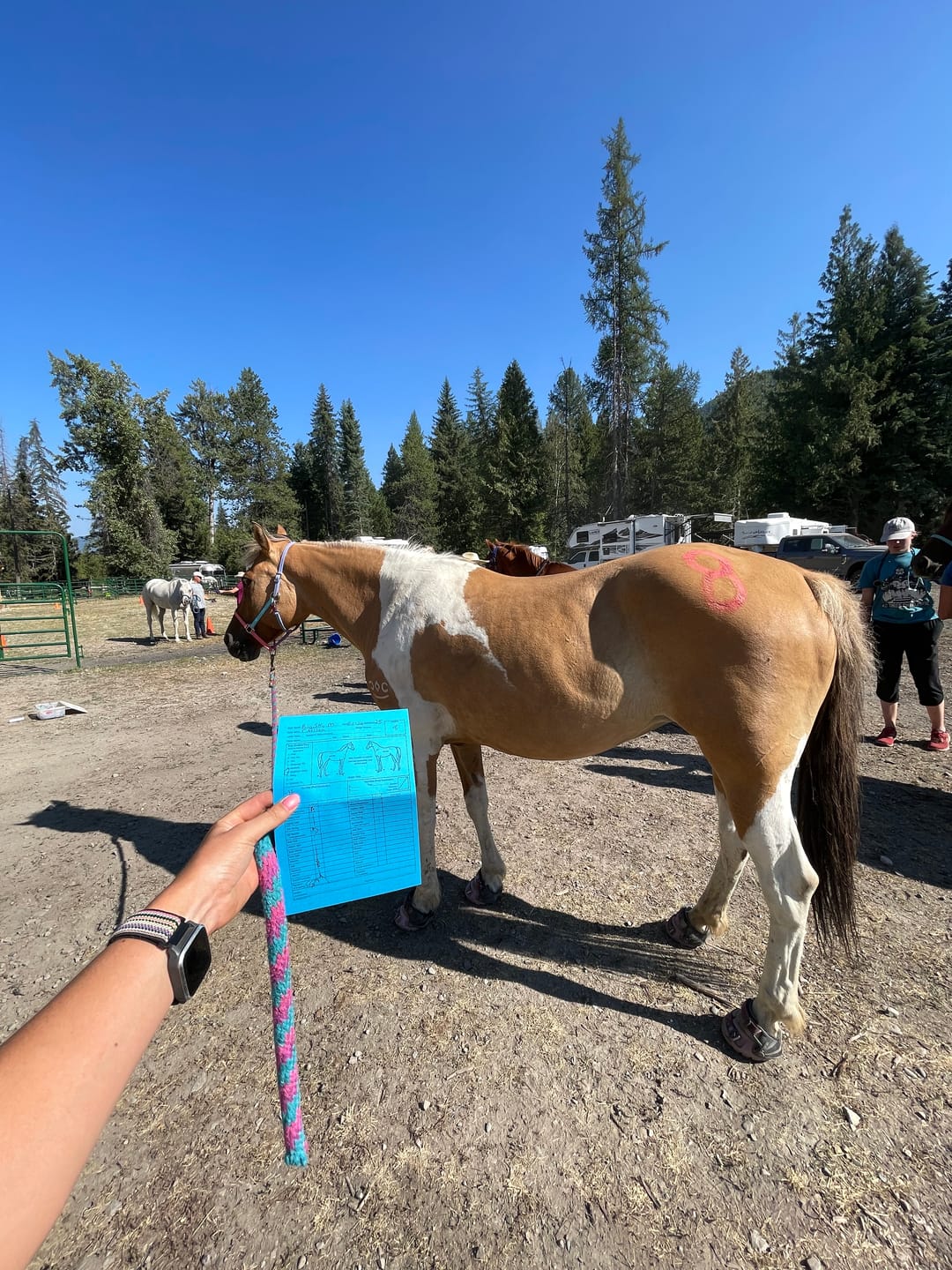 Customer photo review of Renegade® Viper  Glow™ Hoof Boot - Lilac Dream Glow