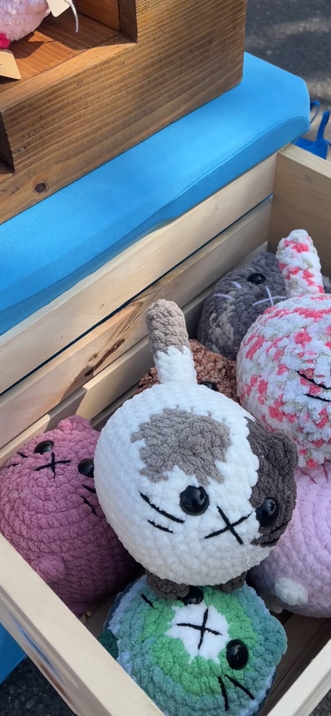 Customer photo review of Makers & Merchants Market Summer Series!