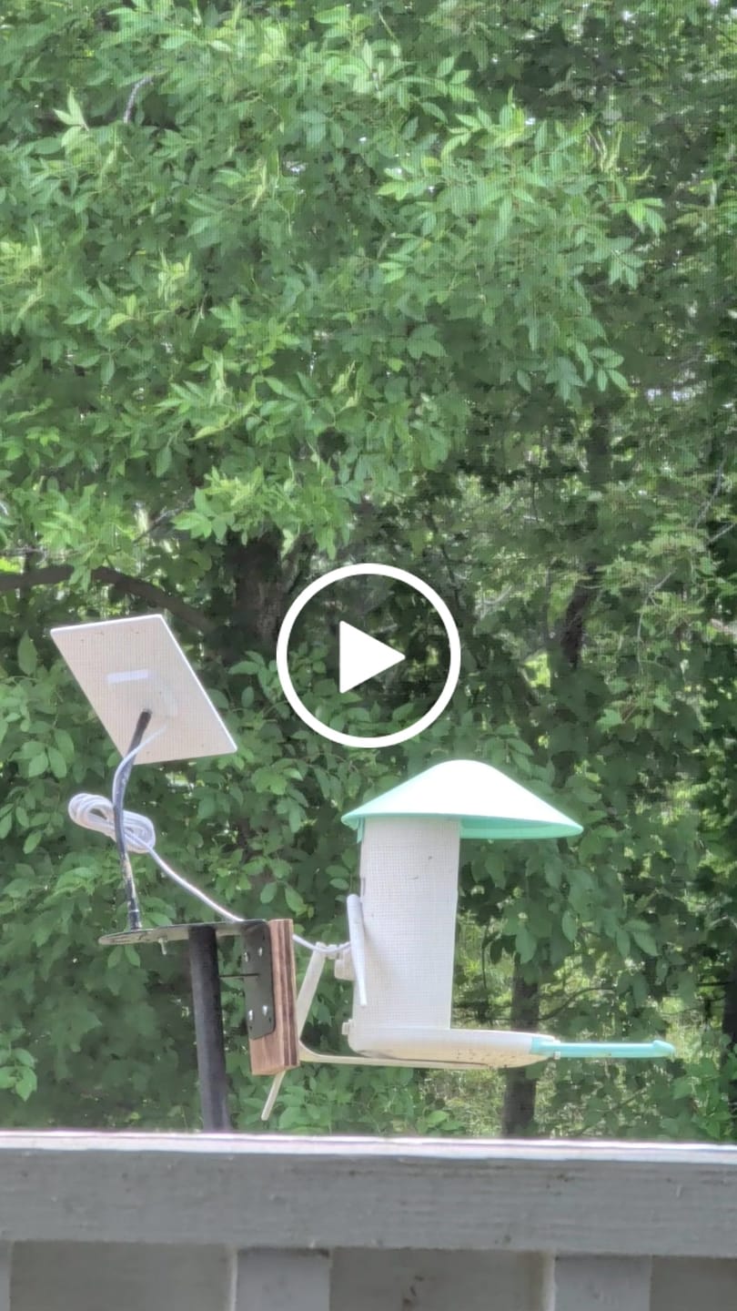 Customer video review of Birdfy Hum Feeder Duo - Hummingbird Feeder with Dual Camera