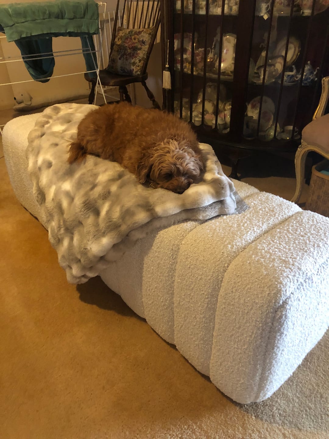 Customer photo review of B5 Bench