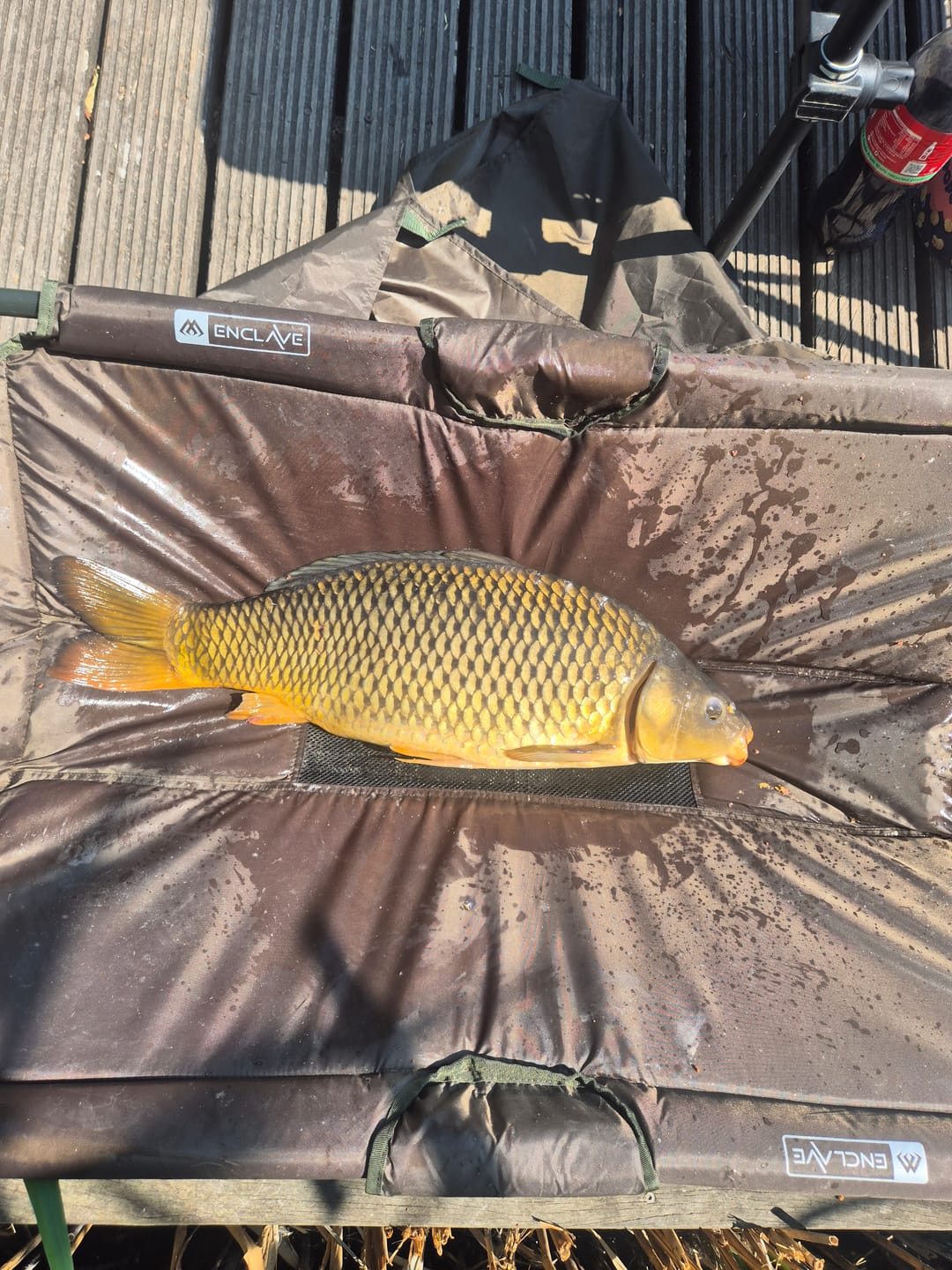 Customer photo review of FLAVOURED PELLETS 1kg