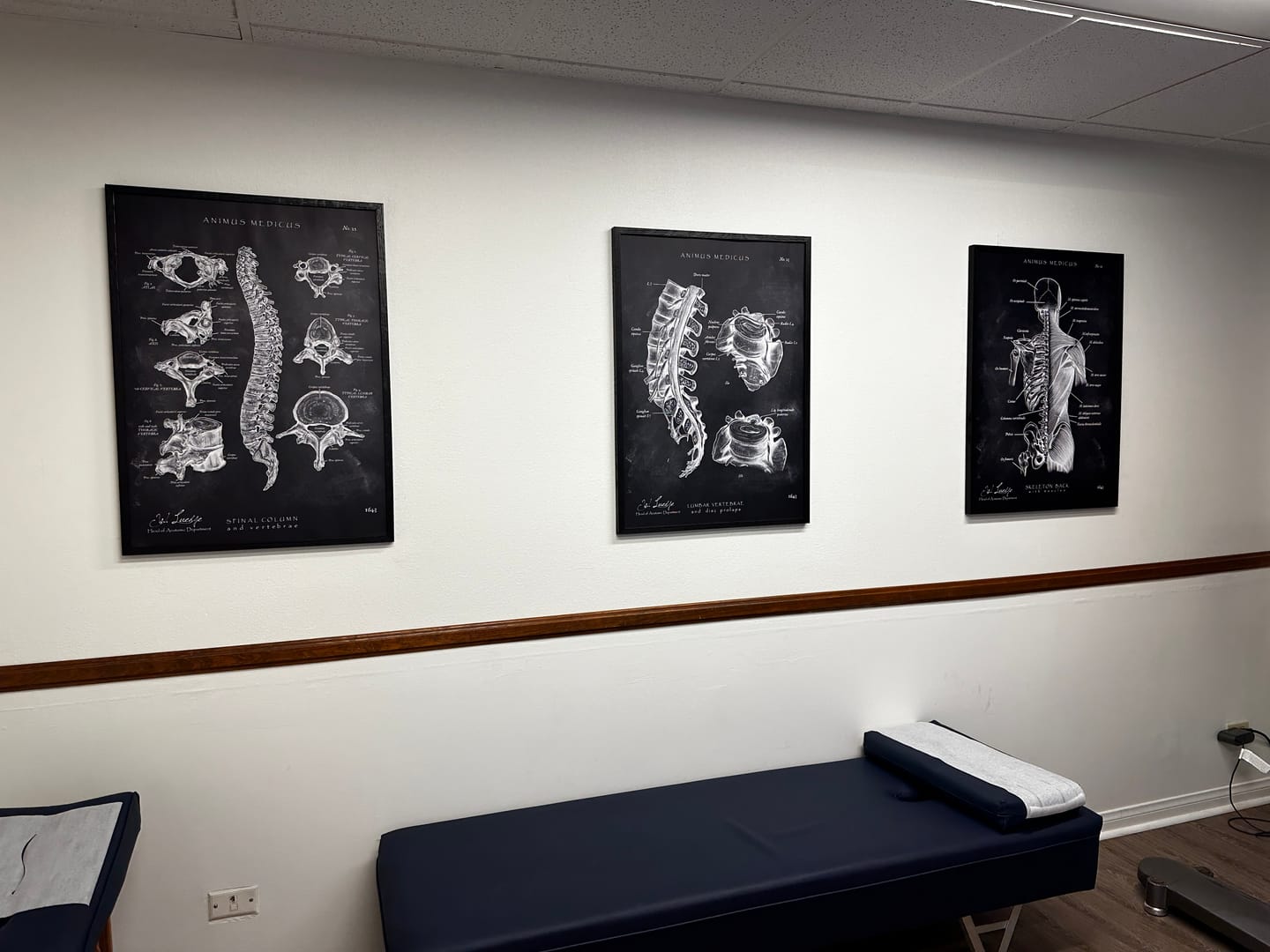 Customer photo review of Back Anatomy Collection Chalkboard