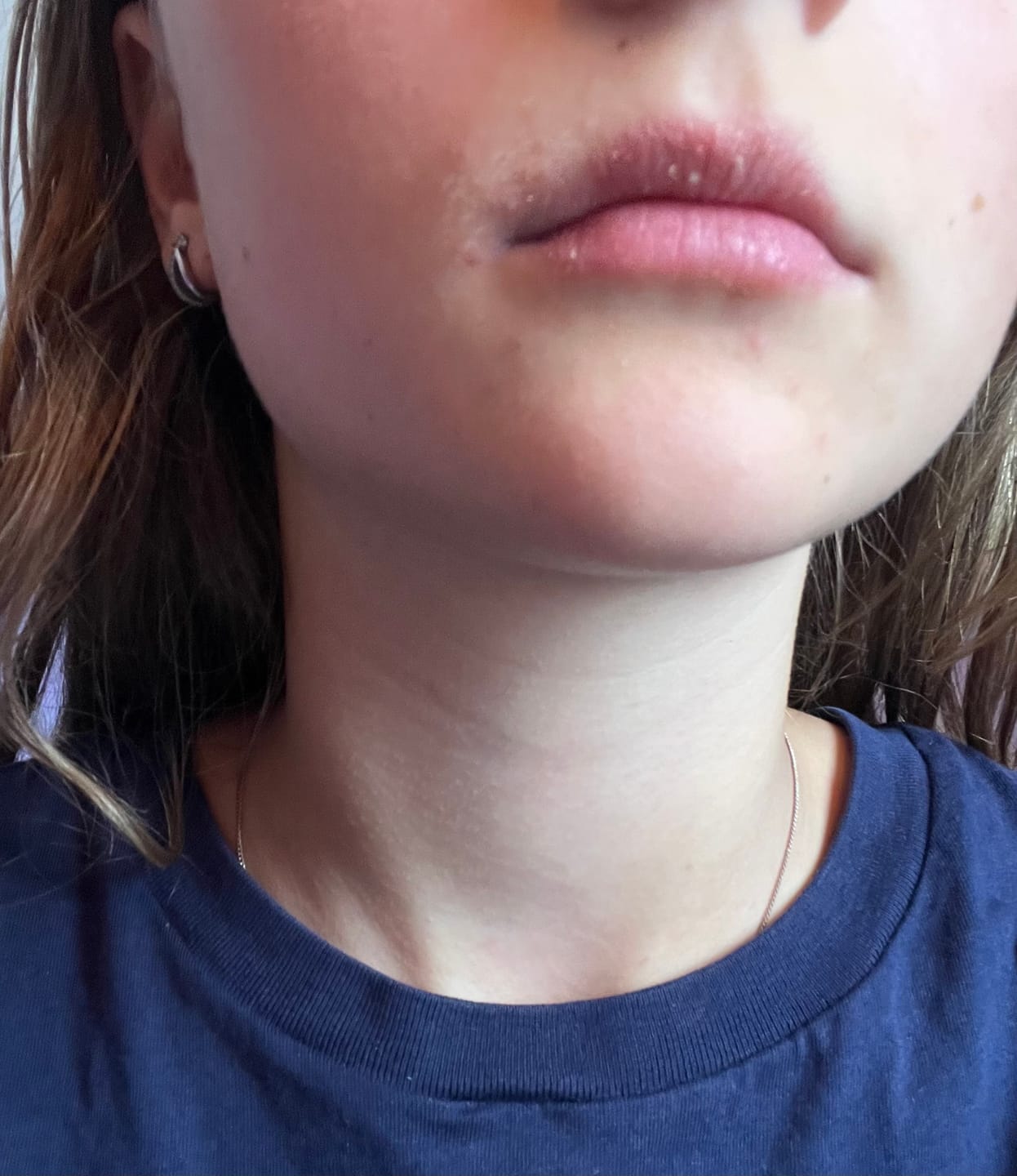 Customer photo review of Emils favorittar