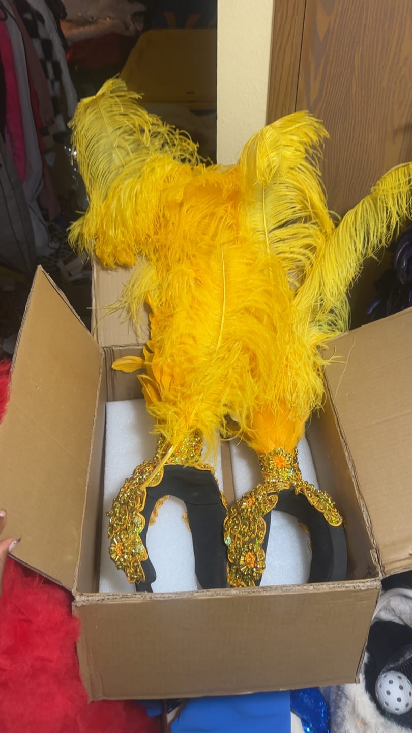 Customer photo review of Ostrich Plumes – The ultimate choice for designers and performers