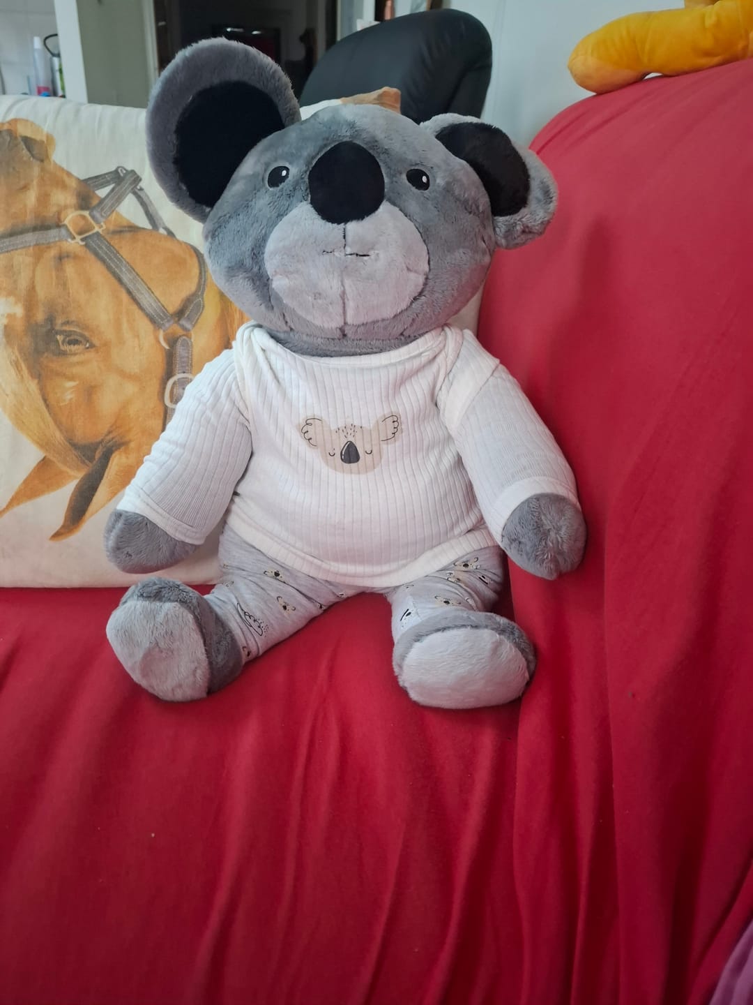 Customer photo review of Lotgenootje Koala 2kg