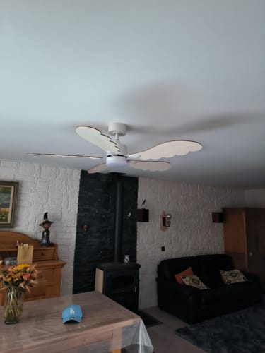 Customer's Découverte Duo luminaire en bois installé au plafond d'un salon rustique avec des pales en forme d'ailes.