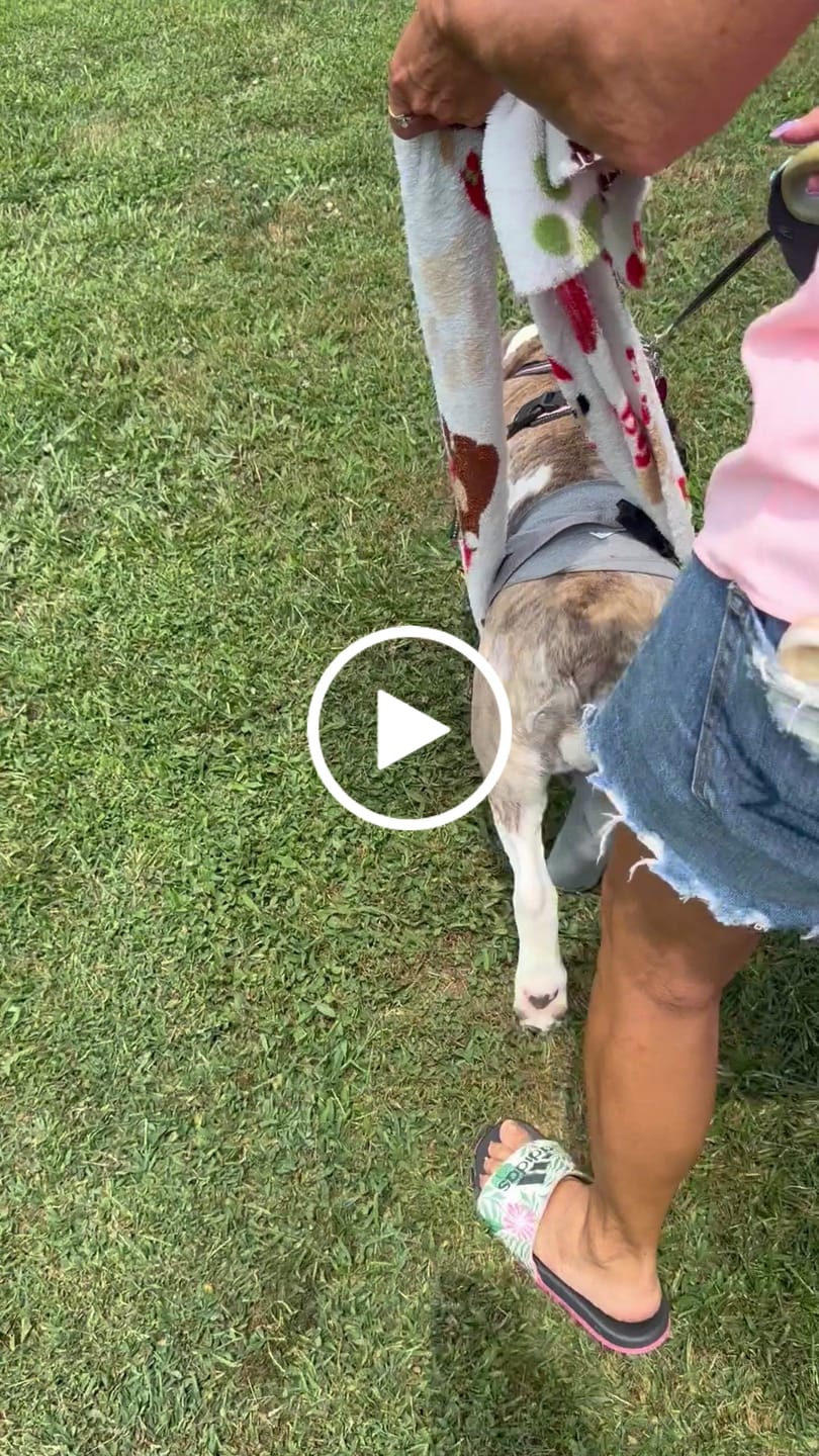 Customer video review of Lick Sleeve® Leg Sleeve