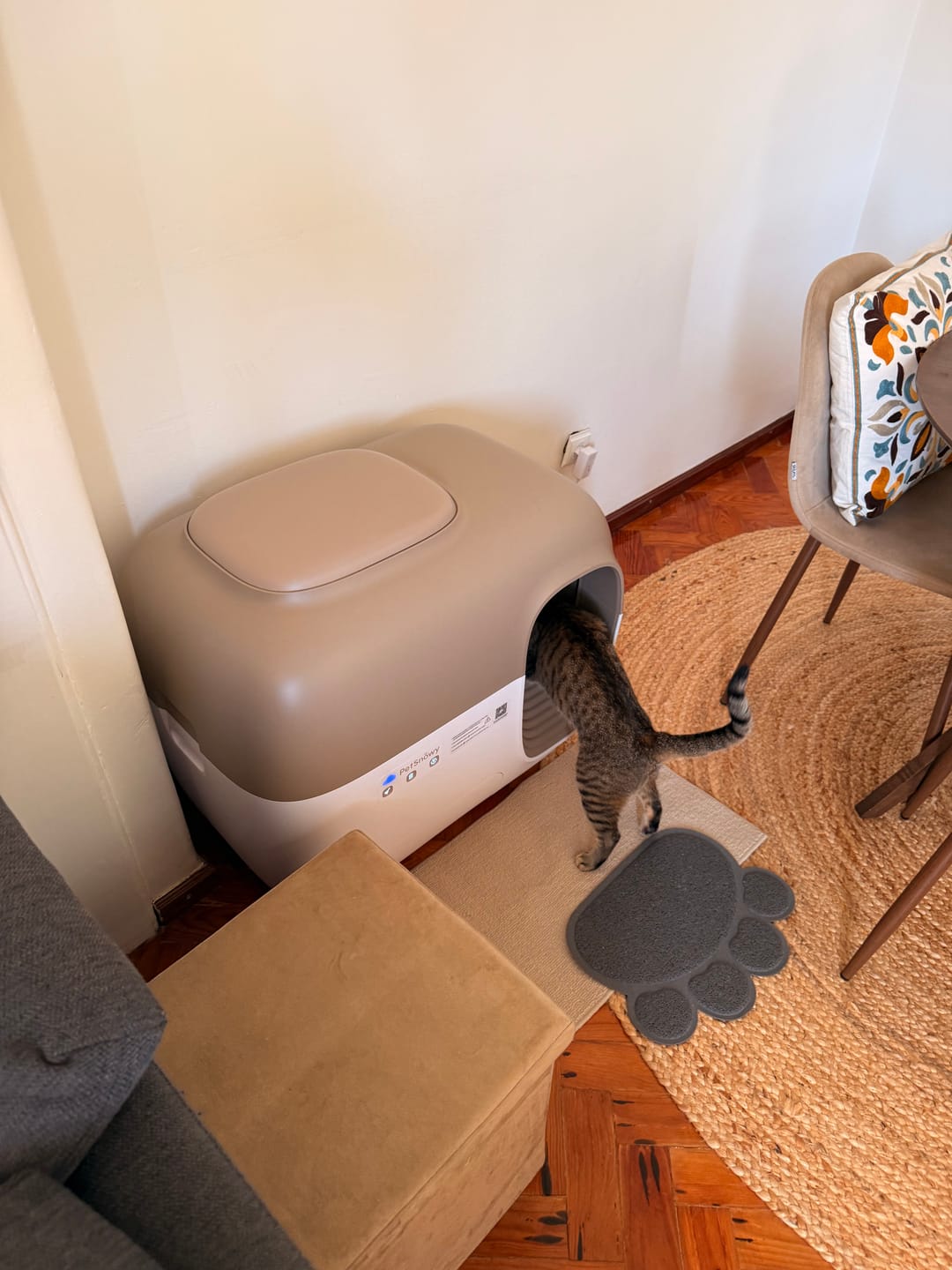 Customer photo review of Self-Cleaning Litter Box