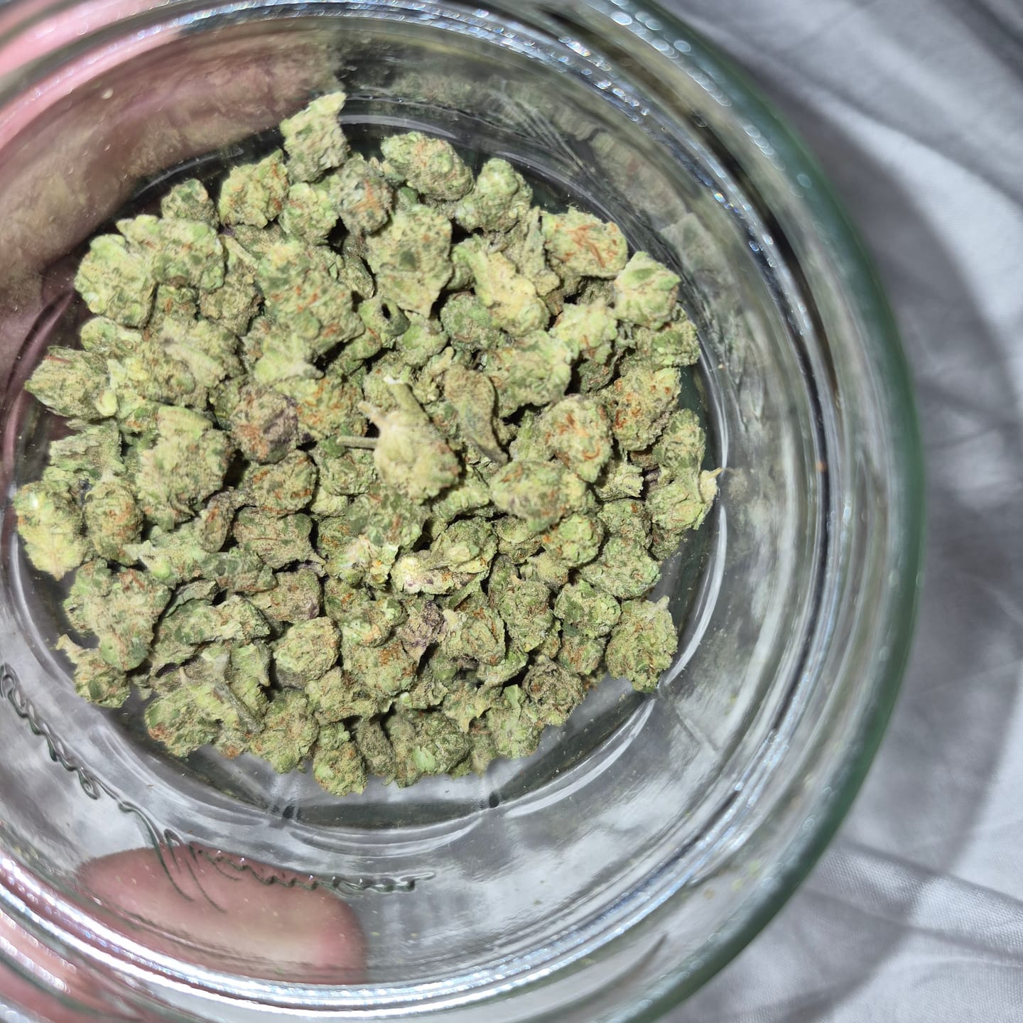 Customer photo review of 1 Oz Cheap THCA Small Buds