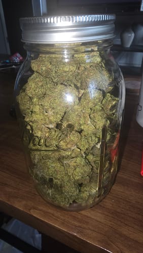 Lemon Cherry Biscotti - Bulk - Hybrid photo review