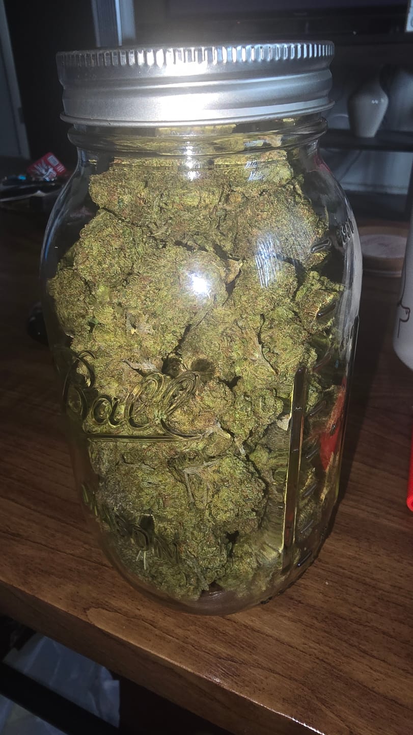 Customer photo review of Lemon Cherry Biscotti - Bulk - Hybrid