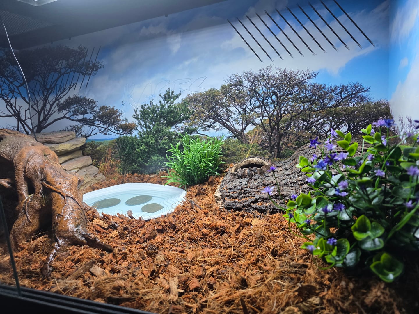Customer photo review of 48"x24"x24" / 4'x2'x2' Premium PVC Reptile Enclosure
