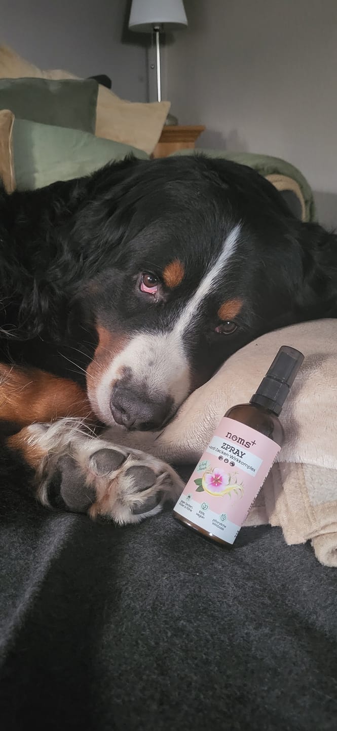 Customer photo review of Zpray für Hunde & Menschen