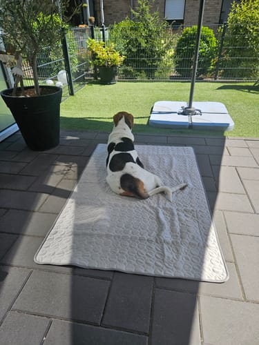 Customer photo review of CoolingMat - Hundekühlmatte