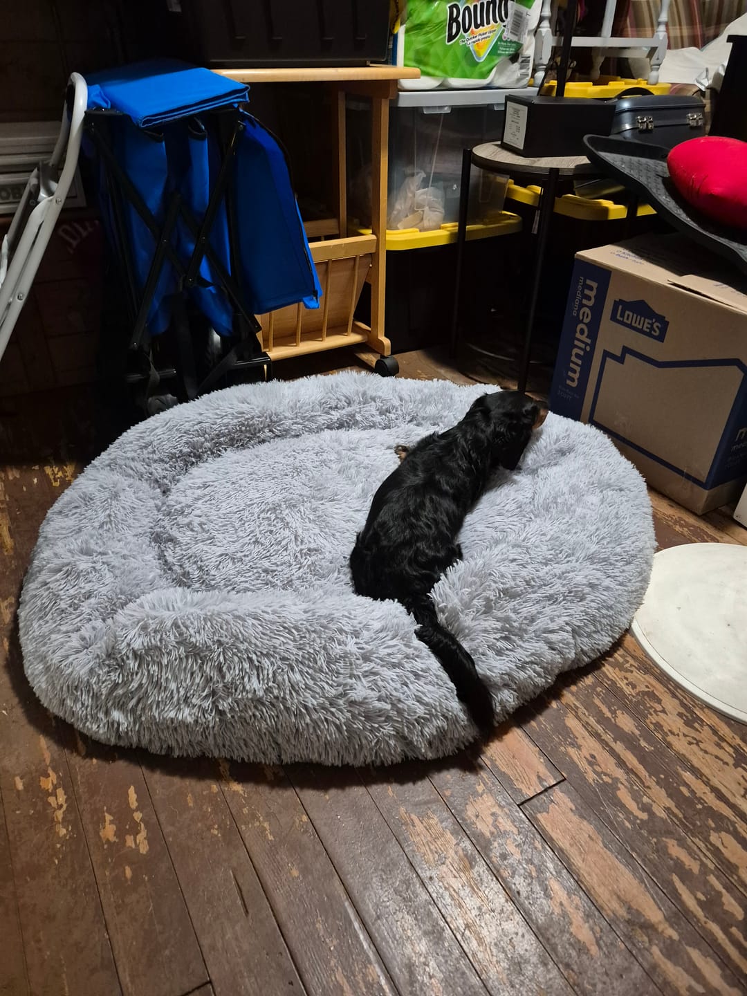 Customer photo review of The Original Fluffy Bean® Pet Bed
