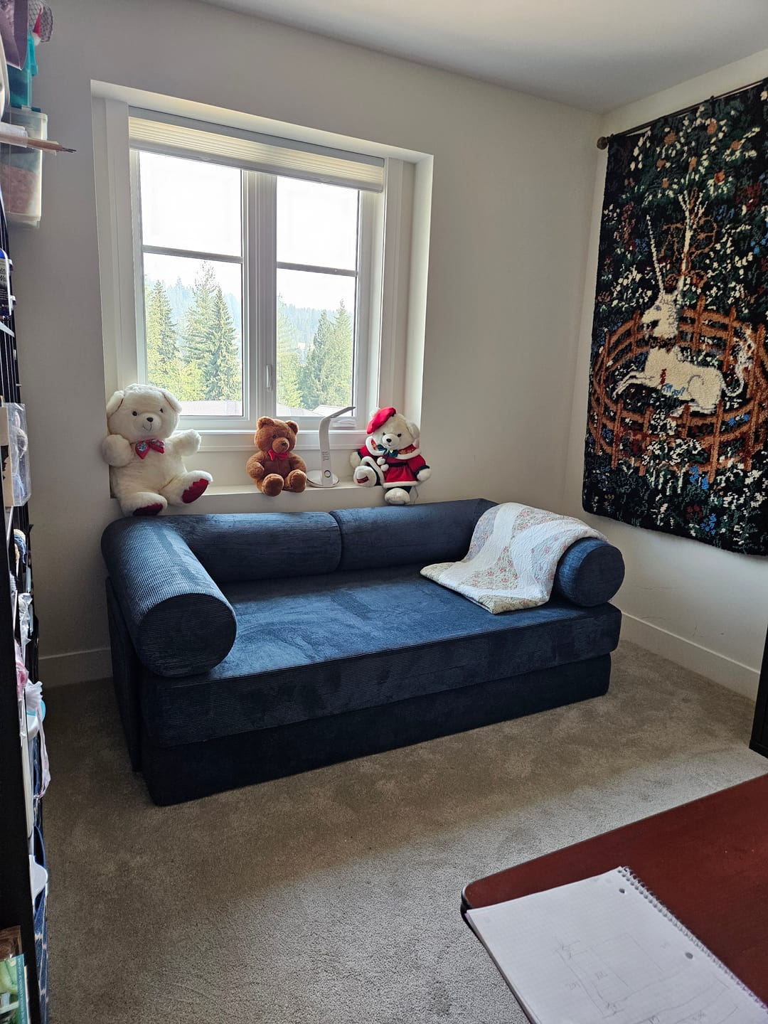 Customer photo review of S8 Sleeper Sofa Bed