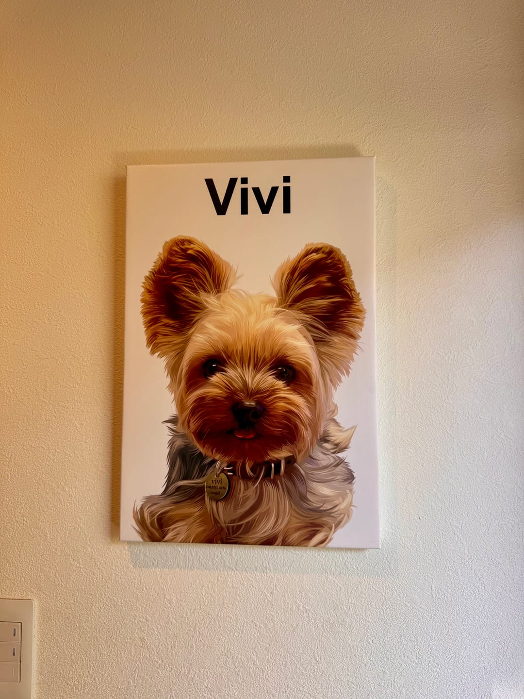 Customer photo review of Petcanva® 品質補償サービス