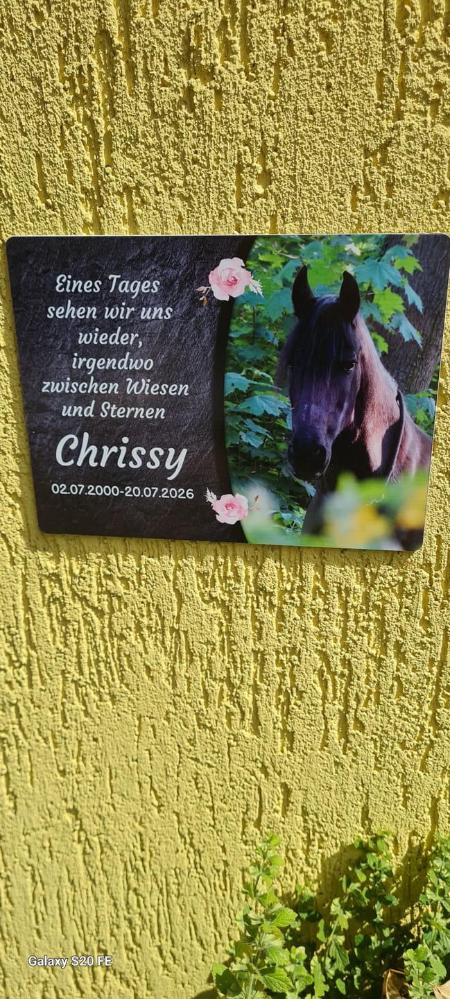 Customer photo review of Pferde Gedenktafel mit Foto & Spruch (UV- & Wetterfest)