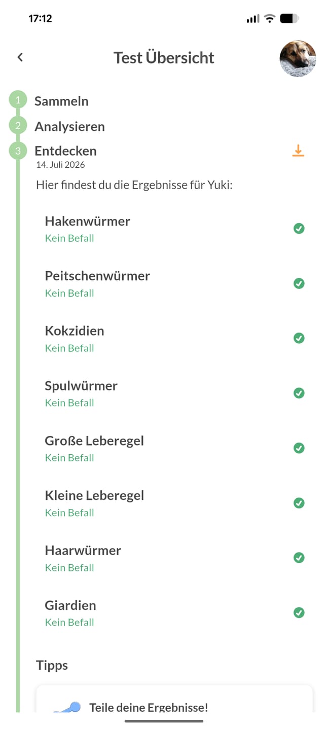 Customer photo review of Wurmtest Pro Hund